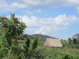 A cidadezinha de Viñales é perfeita pra um passeio a cavalo