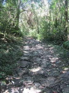 Trecho da trilha calçado por pedras