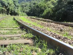O trilho é uma presença constante no Caminho