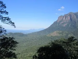 É lindo demais ou não?