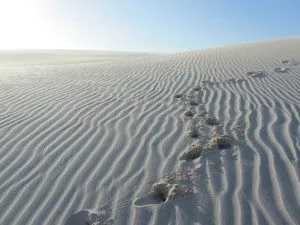 Lençóis Maranhenses - Circuito Lagoa Bonita