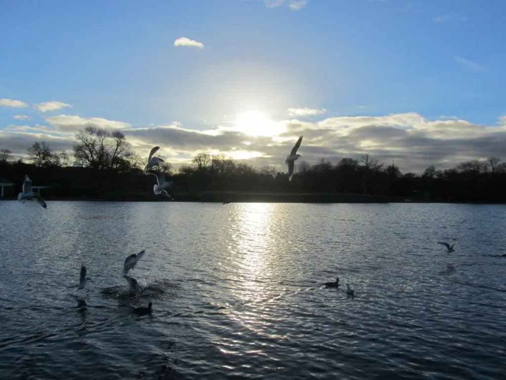 Londres – Parque