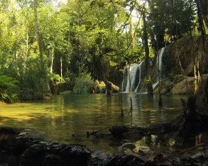 Laos - Luang Prabang - cachoeira Tad Sae