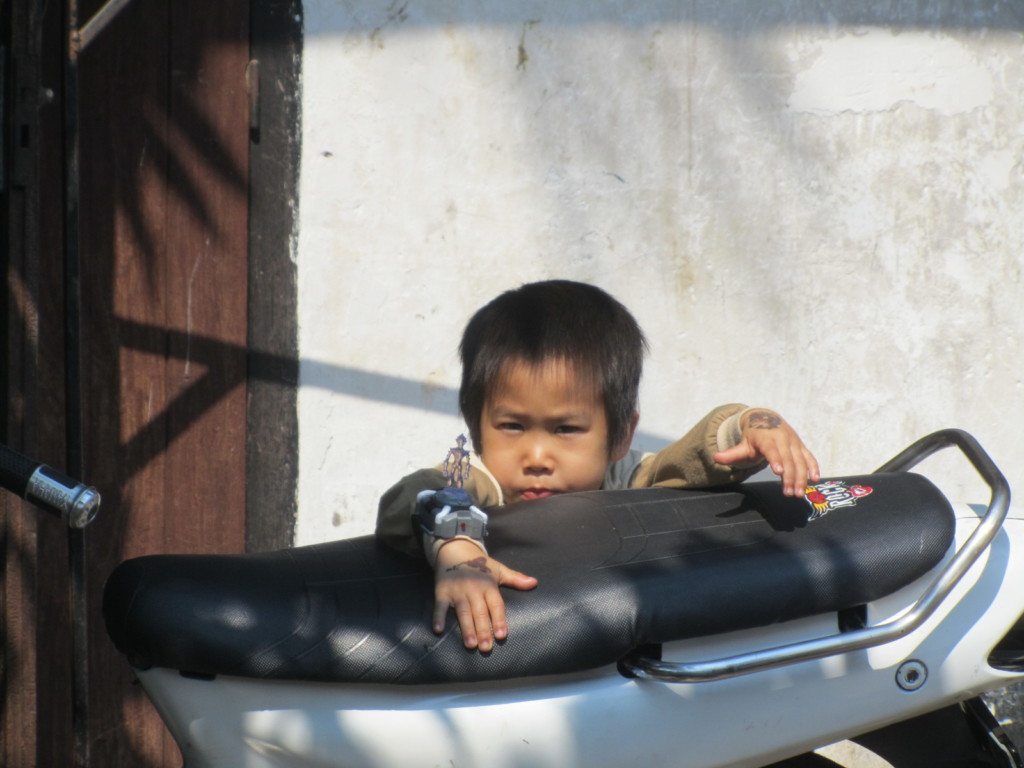 Laos – Luang Prabang – ruas (2)