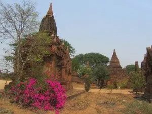 Myanmar - Bagan (29)