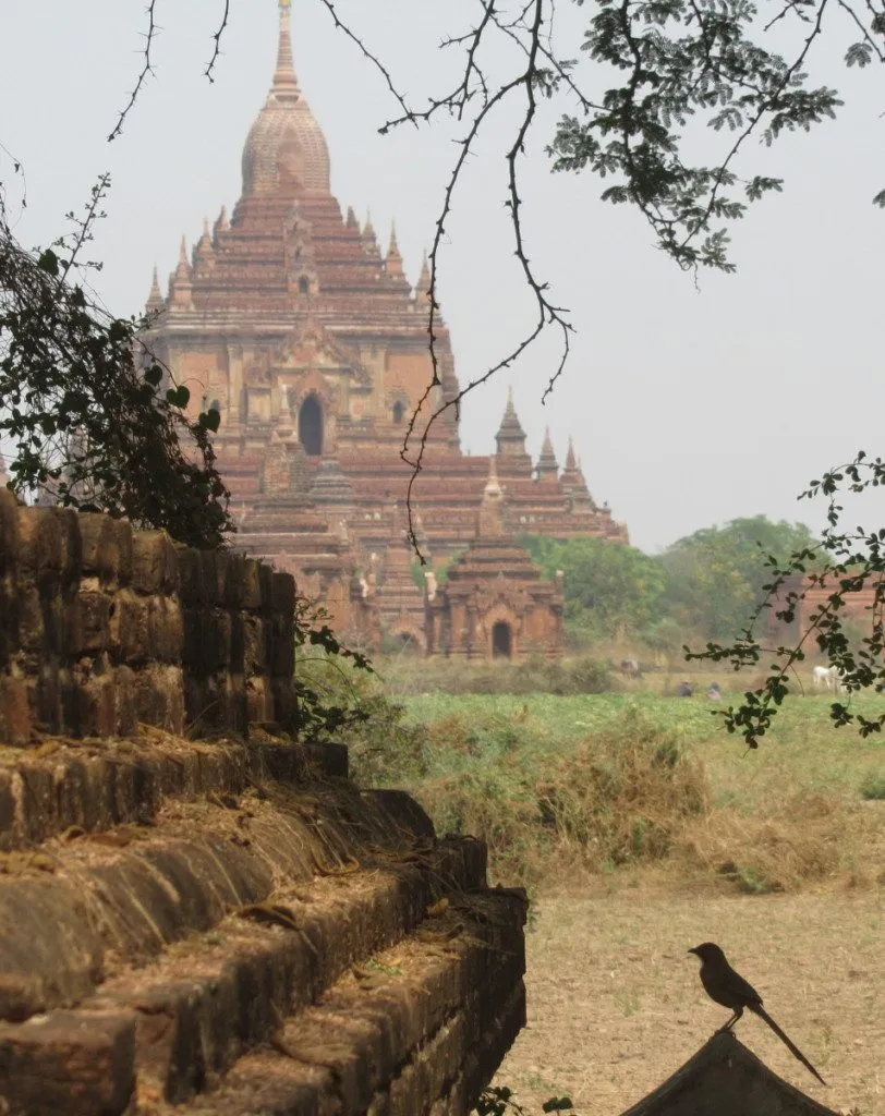 Myanmar – Bagan (36)