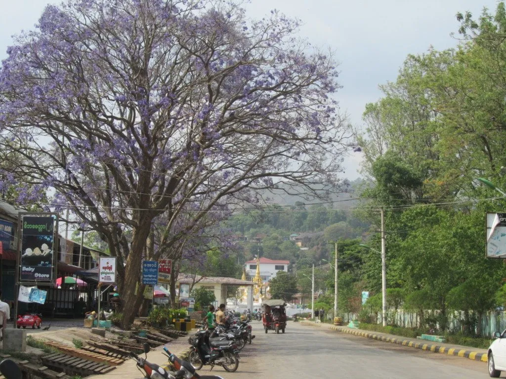 Myanmar – Kalaw (3)