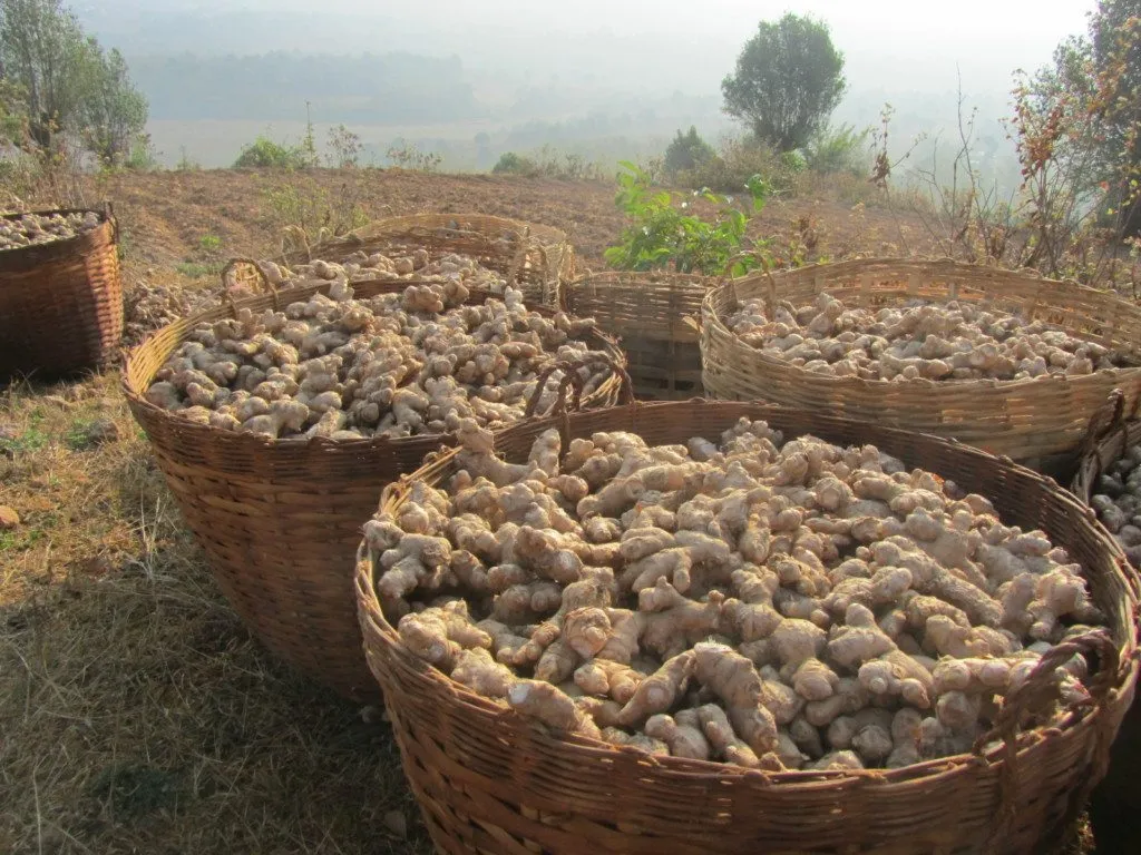 Myanmar – Kalaw – Trekking dia 2 (6)