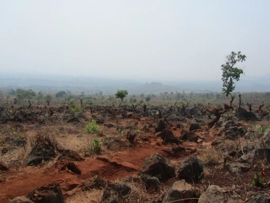 Myanmar – Kalaw – Trekking dia 3 (12)
