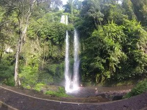 Cachu lindona em Lombok