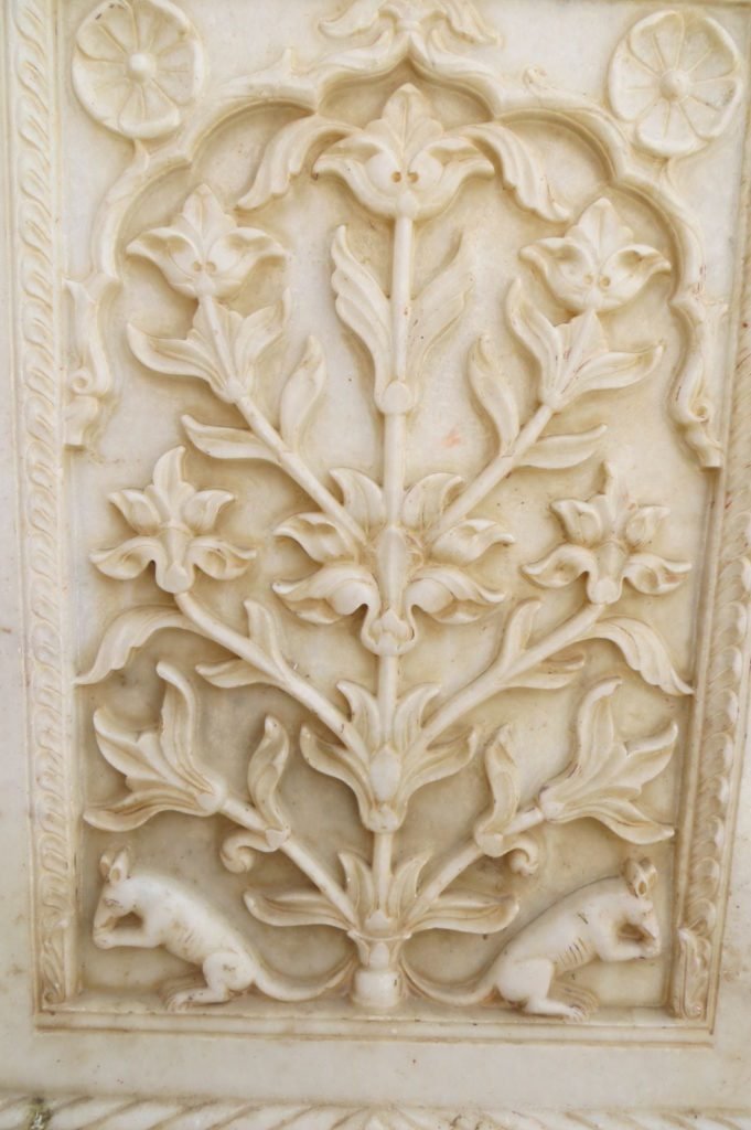 India – Bikaner (8)