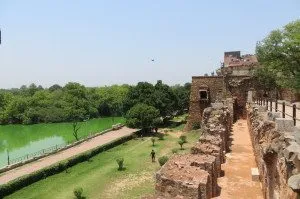 India - Nova Delhi (55)