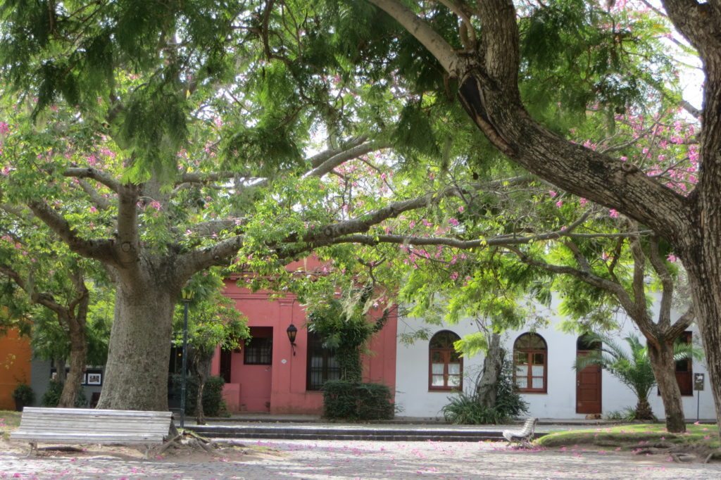 Uruguai – Colonia del Sacramento (6)