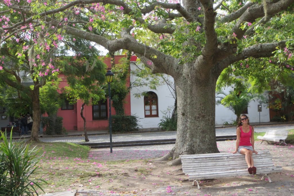Uruguai – Colonia del Sacramento (7)