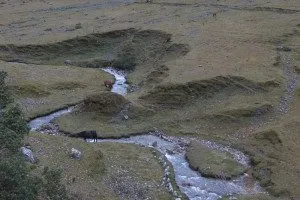 Peru - Machu Picchu (15)