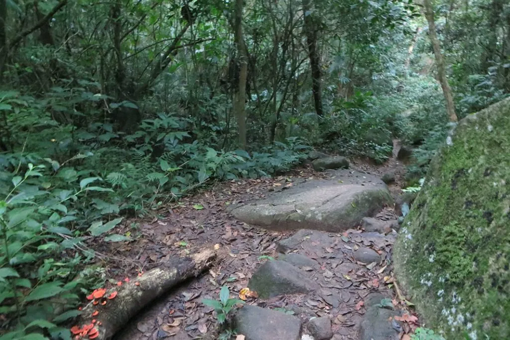 Rio – Ilha Grande – Lopes Mendes (10)