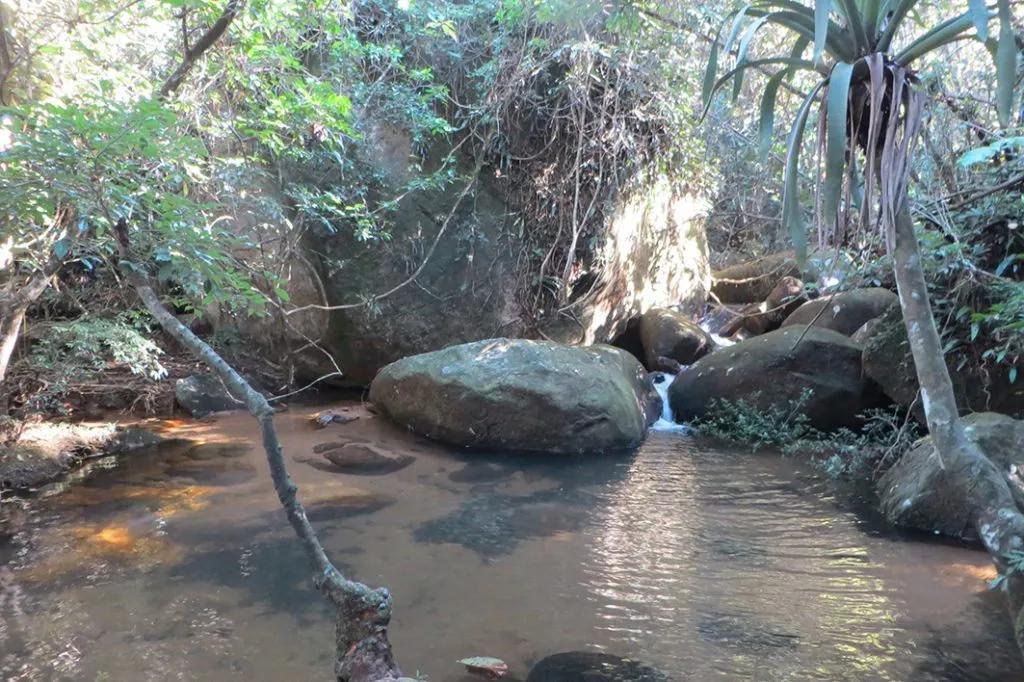 Rio – Ilha Grande – Praia do Caxadaço (10)