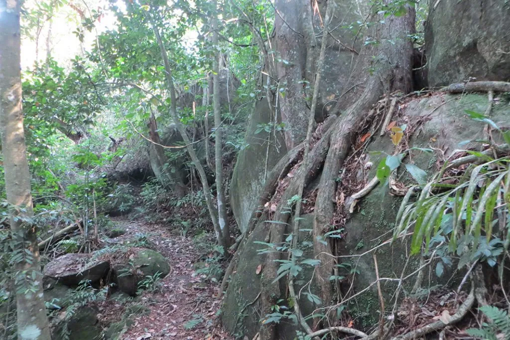Rio – Ilha Grande – Praia do Caxadaço (17)