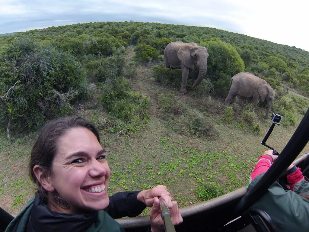 Africa do Sul – Garden Route – Addo Park