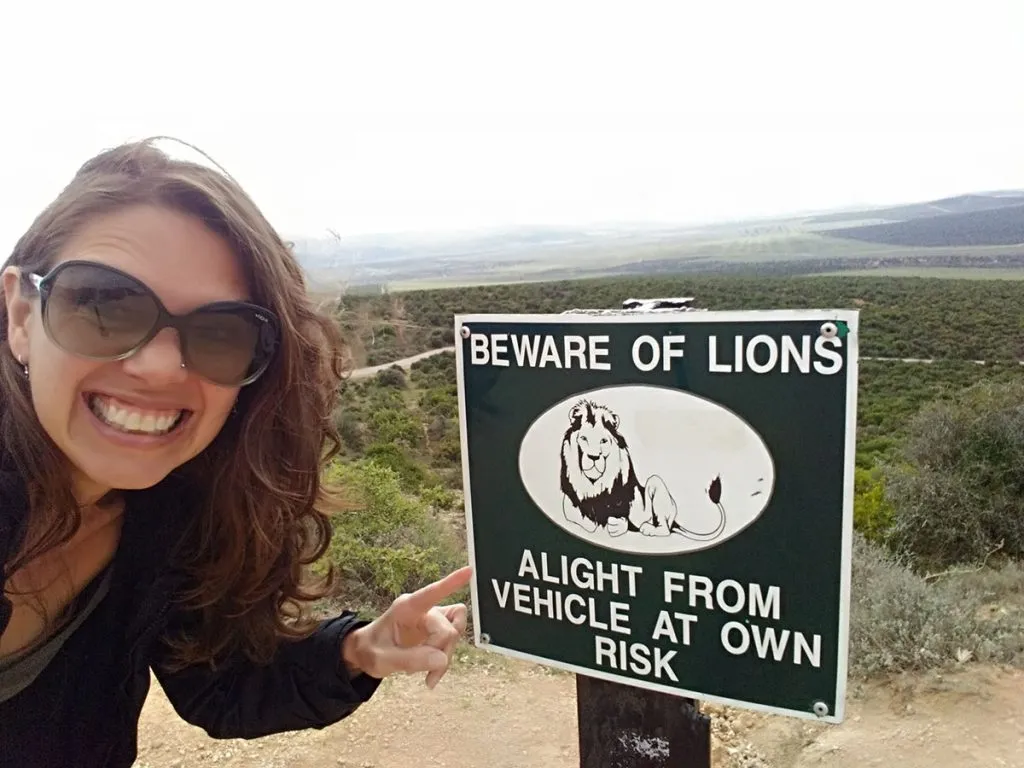 africa-do-sul-garden-route-dia-5-addo-elephant-park-25