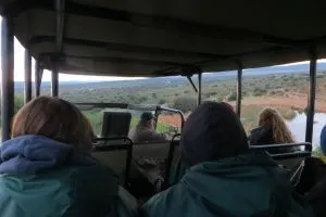 africa-do-sul-garden-route-dia-5-addo-elephant-park-4