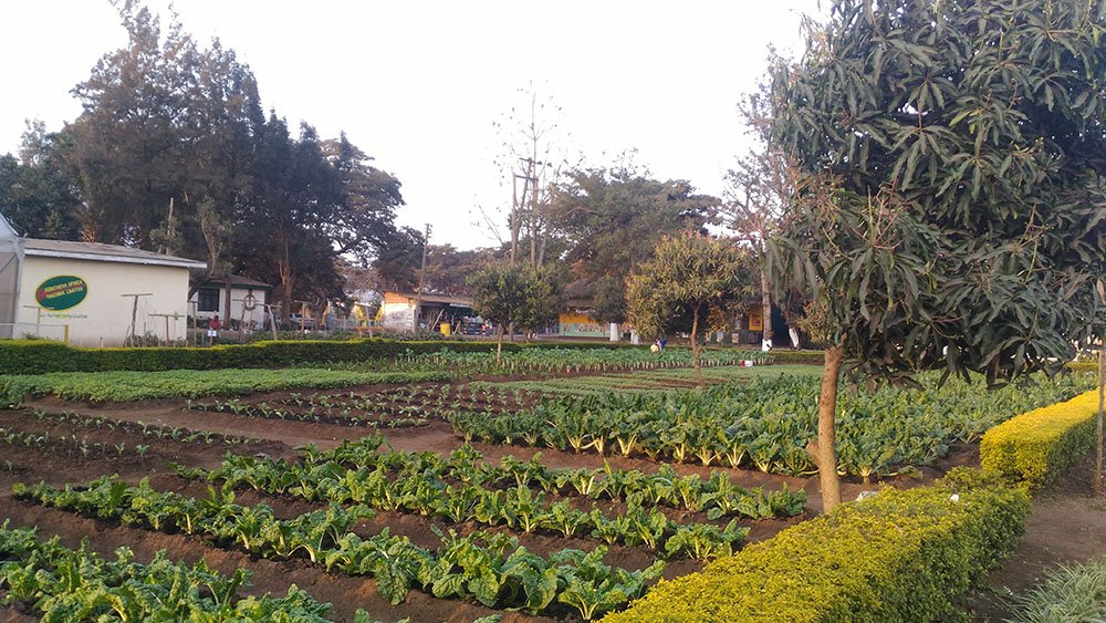 tanzania-arusha-18