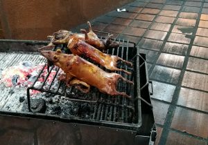 Cuy, porquinho da índia - Comida Equatoriana, Baños, Equador